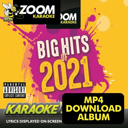 Zoom Big Hits of 2021