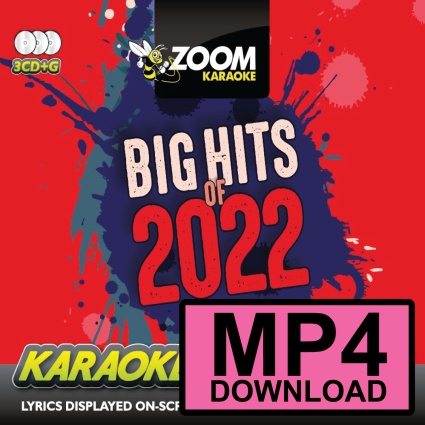 Zoom Big Hits of 2022