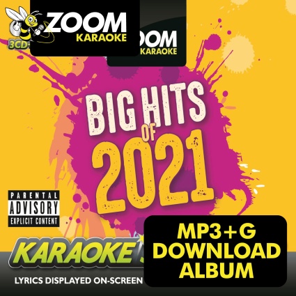 Zoom Big Hits of 2021