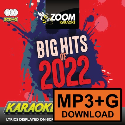 Zoom Big Hits of 2022